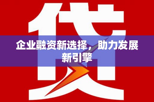 黑山企业融资新选择，助力发展新引擎