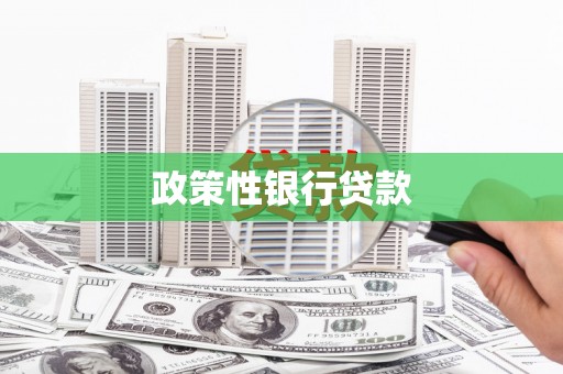 黑山政策性银行贷款