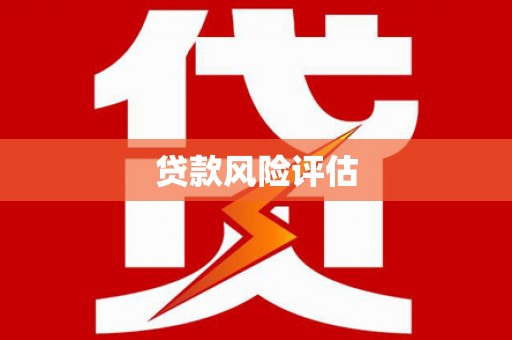 黑山贷款风险评估