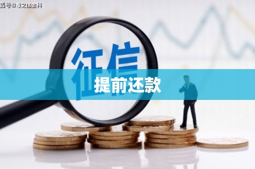 黑山提前还款