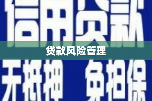 黑山贷款风险管理