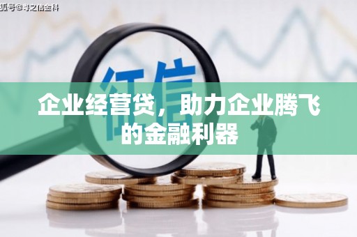 黑山企业经营贷，助力企业腾飞的金融利器
