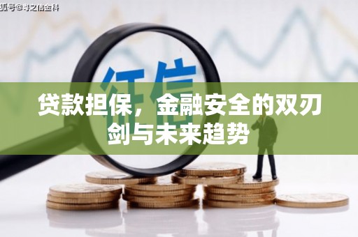 黑山贷款担保，金融安全的双刃剑与未来趋势