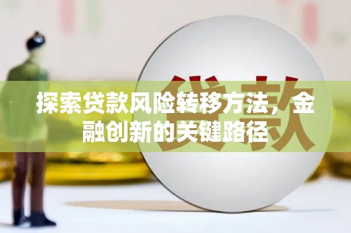 黑山探索贷款风险转移方法，金融创新的关键路径