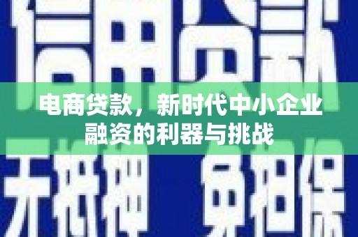 黑山电商贷款，新时代中小企业融资的利器与挑战