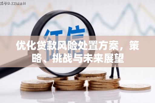 黑山优化贷款风险处置方案，策略、挑战与未来展望