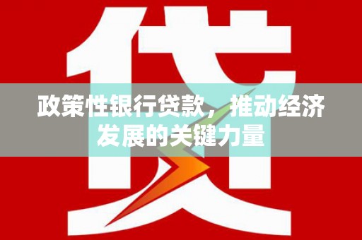 黑山政策性银行贷款，推动经济发展的关键力量