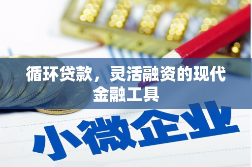 黑山循环贷款，灵活融资的现代金融工具