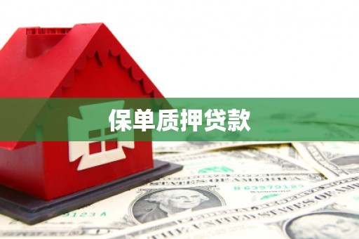 黑山保单质押贷款