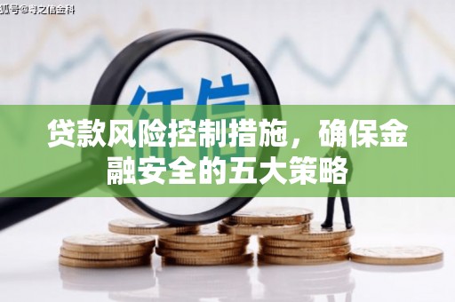 黑山贷款风险控制措施，确保金融安全的五大策略