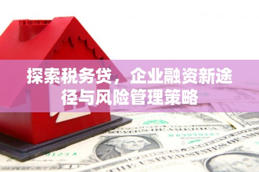 黑山探索税务贷，企业融资新途径与风险管理策略