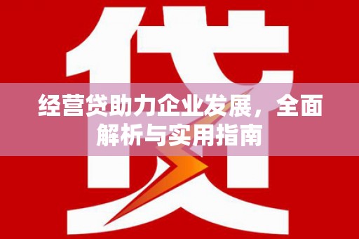 黑山经营贷助力企业发展，全面解析与实用指南