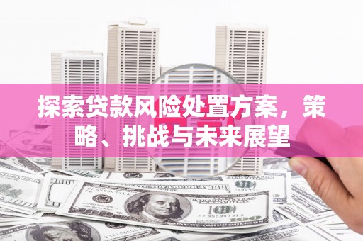 黑山探索贷款风险处置方案，策略、挑战与未来展望