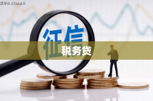 黑山税务贷