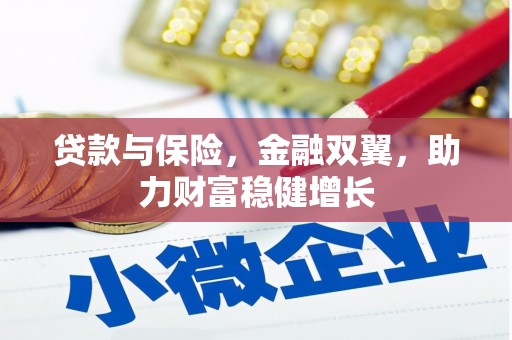 黑山贷款与保险，金融双翼，助力财富稳健增长