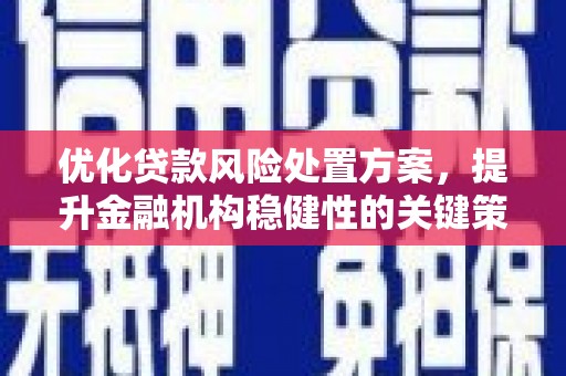 黑山优化贷款风险处置方案，提升金融机构稳健性的关键策略