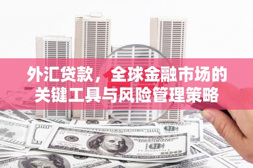 黑山外汇贷款，全球金融市场的关键工具与风险管理策略