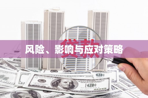 黑山风险、影响与应对策略