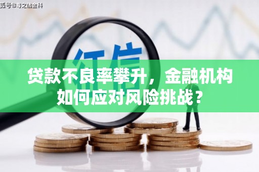 黑山贷款不良率攀升，金融机构如何应对风险挑战？