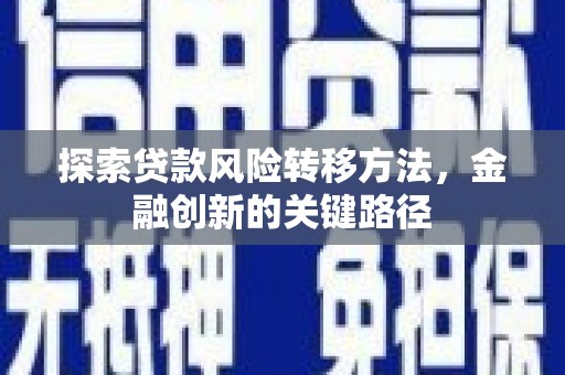 黑山探索贷款风险转移方法，金融创新的关键路径