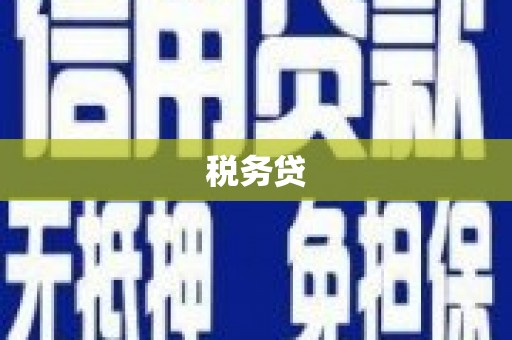 黑山税务贷