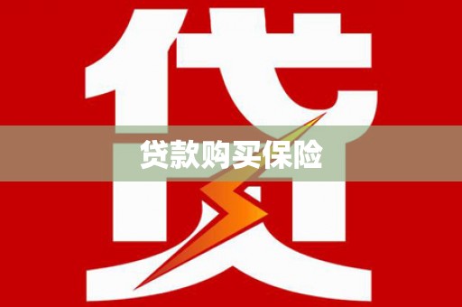 黑山贷款购买保险