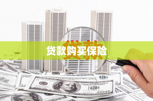 黑山贷款购买保险