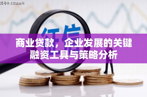 黑山商业贷款，企业发展的关键融资工具与策略分析