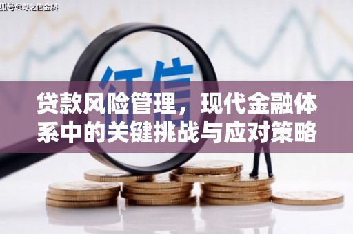 黑山贷款风险管理，现代金融体系中的关键挑战与应对策略