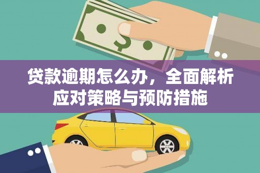 黑山贷款逾期怎么办，全面解析应对策略与预防措施