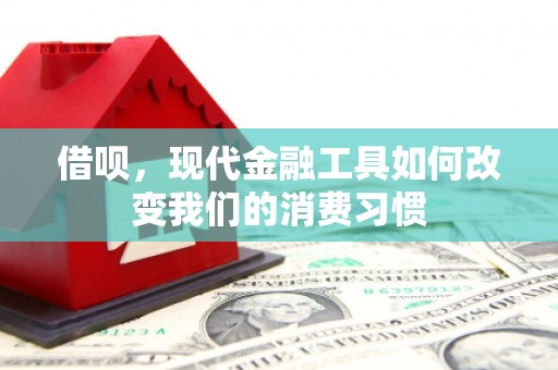 黑山借呗，现代金融工具如何改变我们的消费习惯