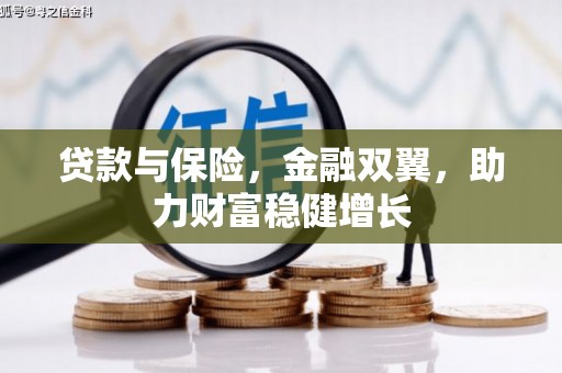 黑山贷款与保险，金融双翼，助力财富稳健增长