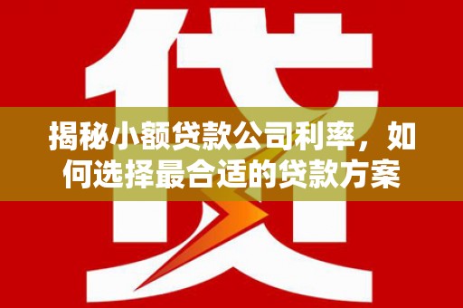 黑山揭秘小额贷款公司利率，如何选择最合适的贷款方案