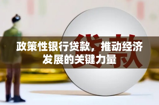 黑山政策性银行贷款，推动经济发展的关键力量