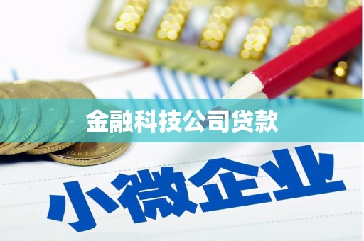 黑山金融科技公司贷款