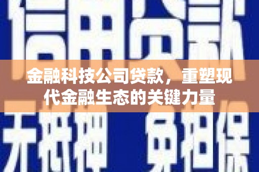 黑山金融科技公司贷款，重塑现代金融生态的关键力量