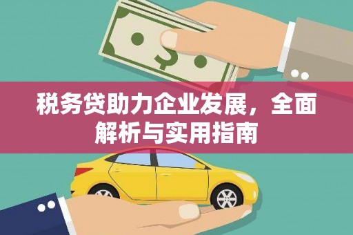黑山税务贷助力企业发展，全面解析与实用指南