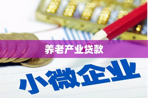 黑山养老产业贷款