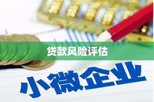 黑山贷款风险评估