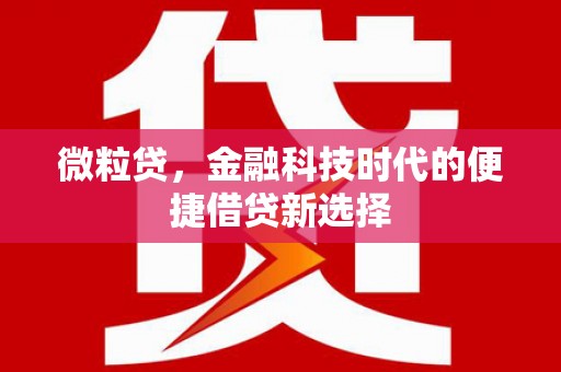 黑山微粒贷，金融科技时代的便捷借贷新选择