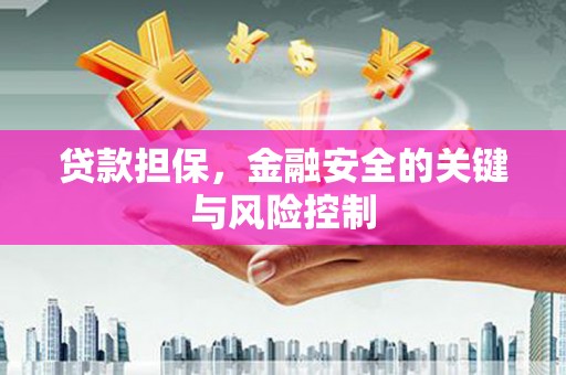 黑山贷款担保，金融安全的关键与风险控制