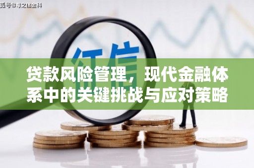 黑山贷款风险管理，现代金融体系中的关键挑战与应对策略