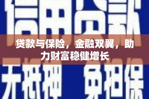 黑山贷款与保险，金融双翼，助力财富稳健增长