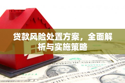 黑山贷款风险处置方案，全面解析与实施策略